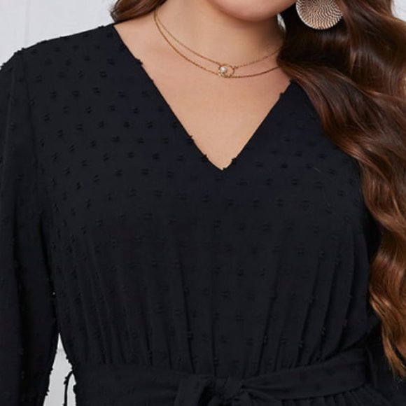 Melo Apparel Plus Size Swiss Dot Tie Waist V-Neck Dress - Picture 4 of 10